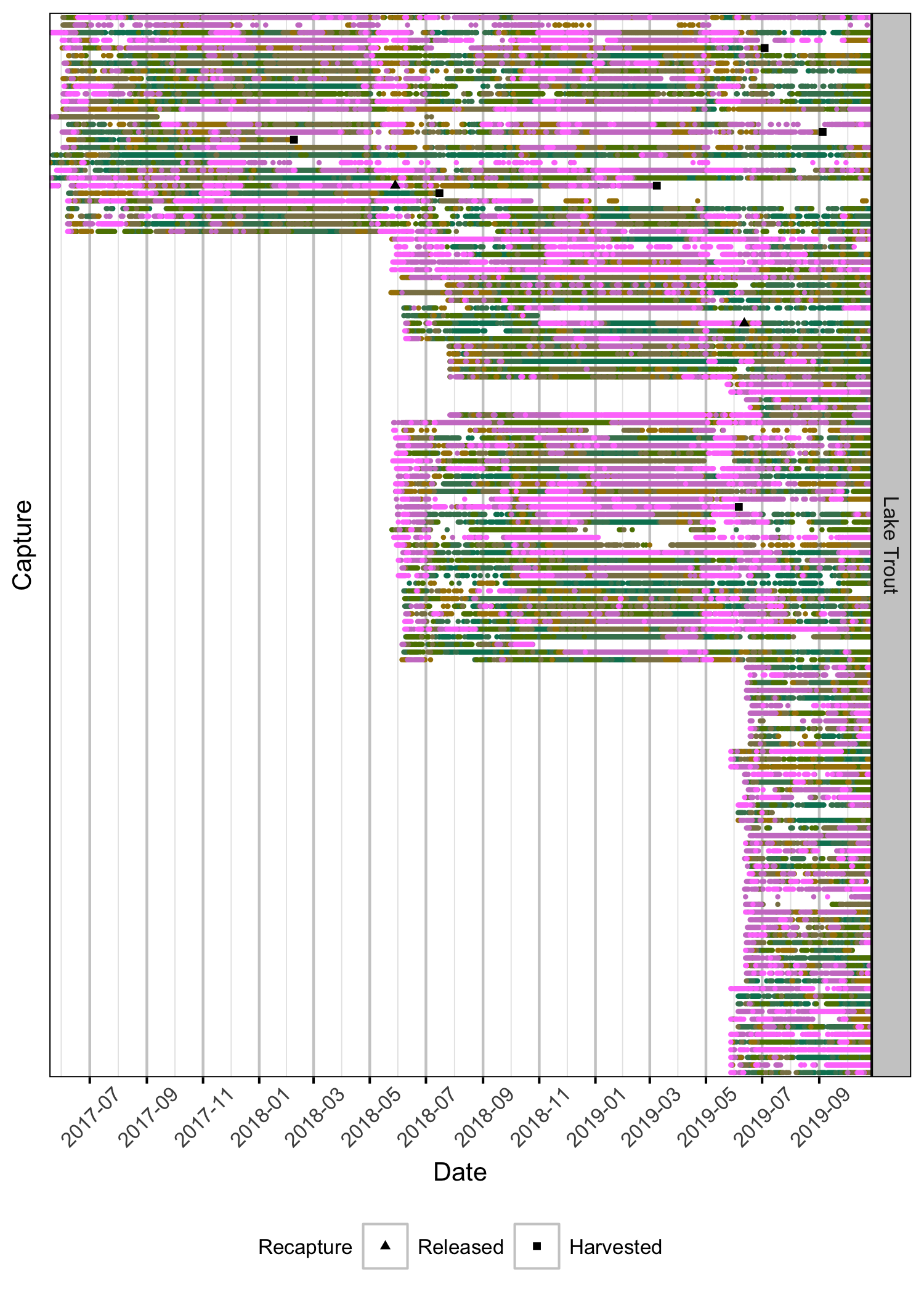 figures/detection/DetectionOverview.png