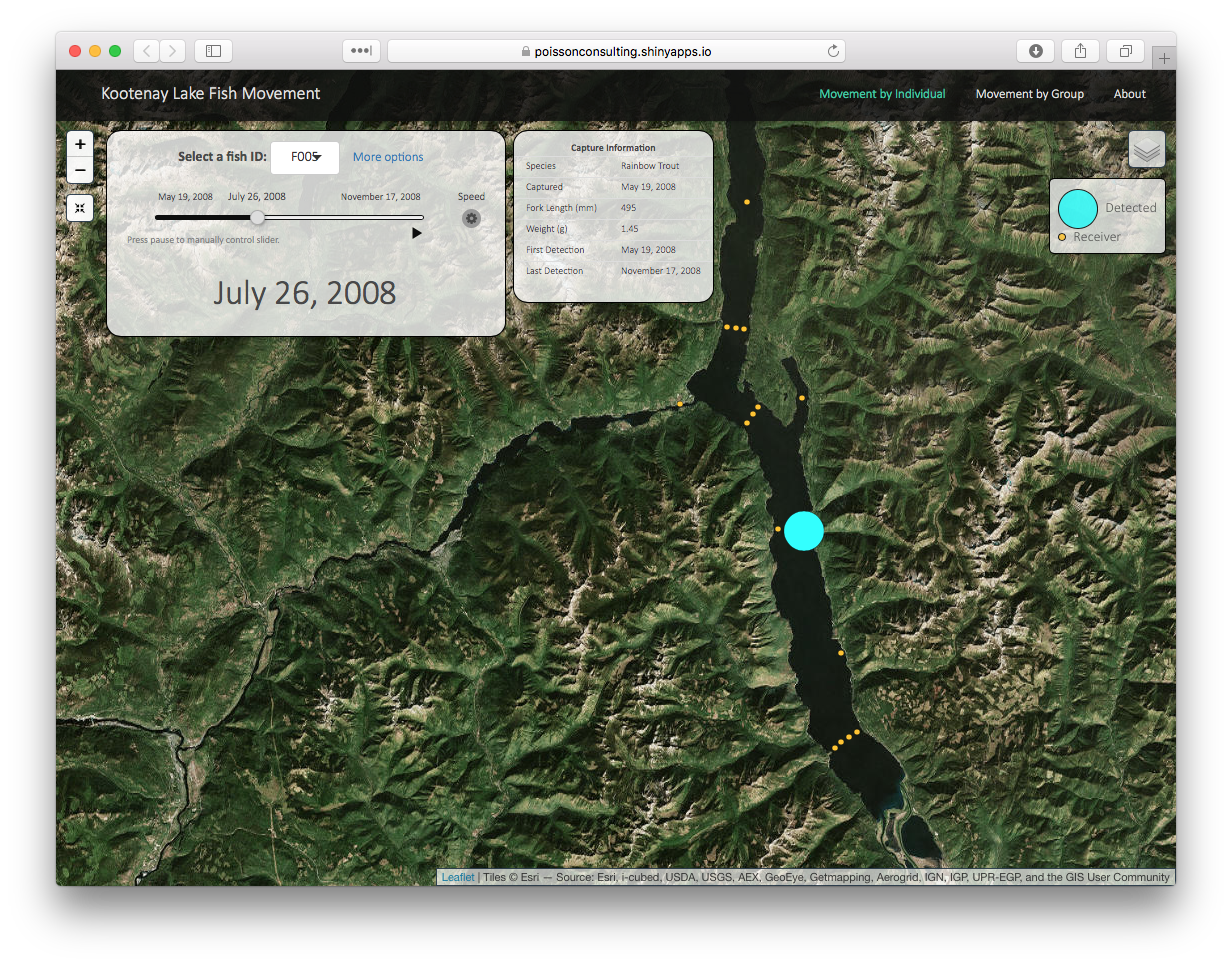 A screenshot of the Kootenay Lake Fish Movement shiny app