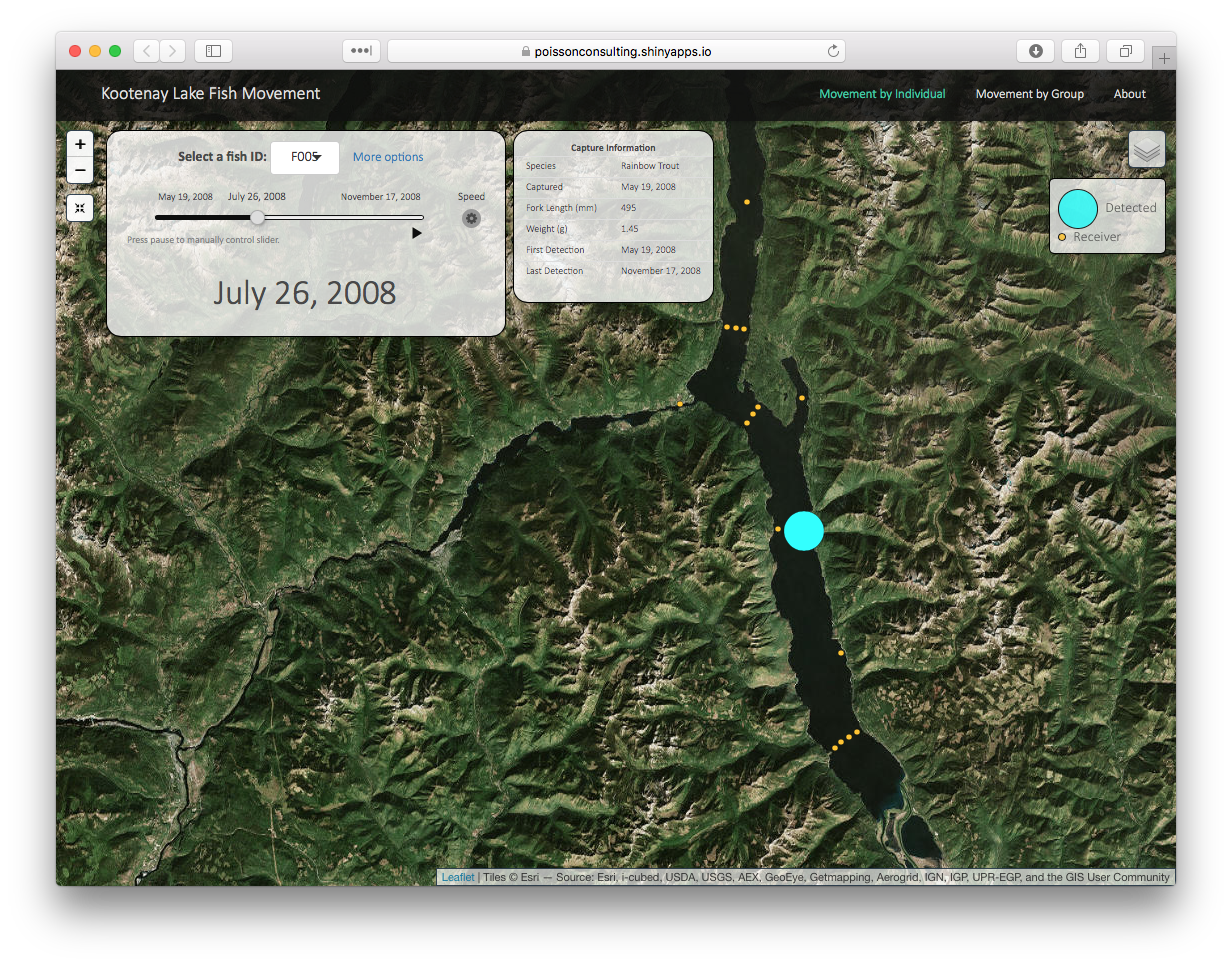 A screenshot of the Kootenay Lake Fish Movement shiny
app A screenshot of the Kootenay Lake Fish Movement shiny app