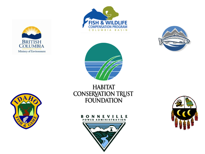Sponsors' logos Sponsors' logos